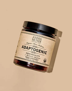 Anima Mundi Organic ADAPTOGENIC Powder | 7 Medicinal Mushrooms + Cacao - Lemuria Store