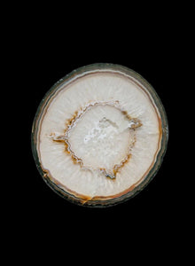 Agate Slice - Medium - Lemuria Store