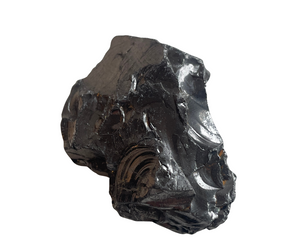 Shungite Elite Stone 25g - Lemuria Store