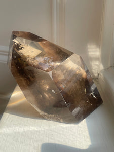 Smoky Lemurian 1162g