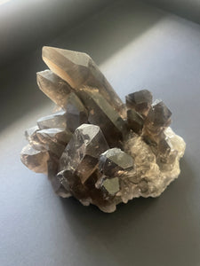 Smoky Lemurian Seed Crystal Cluster - Lemuria Store