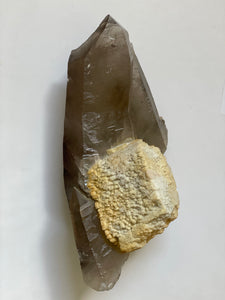Smoky Lemurian Freeform