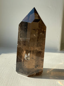 Smoky Quartz Point 290g
