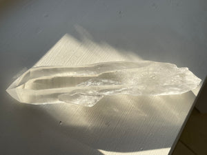 Lemurian Seed Wand 314g
