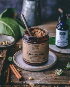 Anima Mundi Organic ADAPTOGENIC Powder | 7 Medicinal Mushrooms + Cacao