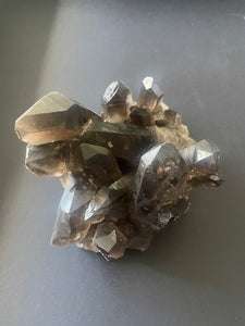 Smoky Lemurian Seed Crystal Cluster - Lemuria Store