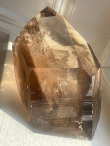 Smoky Lemurian 1162g