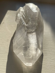Lemurian Seed Quartz 234g