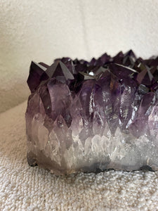 Amethyst Cluster 16.63kg - Lemuria Store