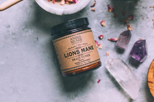 Anima Mundi Lions Mane| Brain Super-Tonic - Lemuria Store