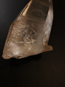 Lemurian Seed Quartz 236 - Lemuria Store