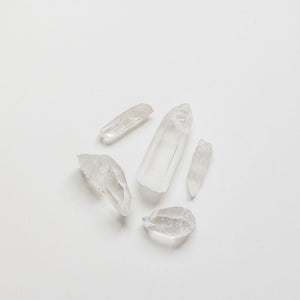 Lemurian Seeds Small - Lemuria Store